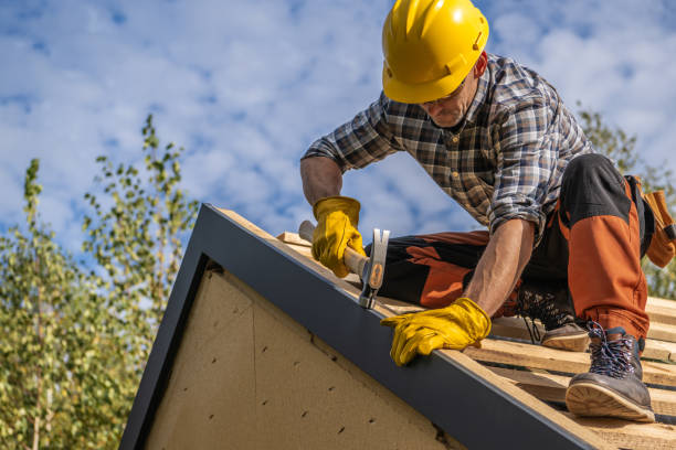 Best Skylights  in Wyoming, IL